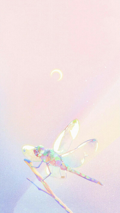 全屏壁纸/壁纸/文字/名片