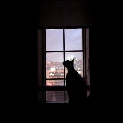 全屏壁纸/壁纸/文字/名片