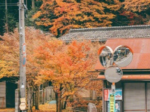京都 #不止旅行#