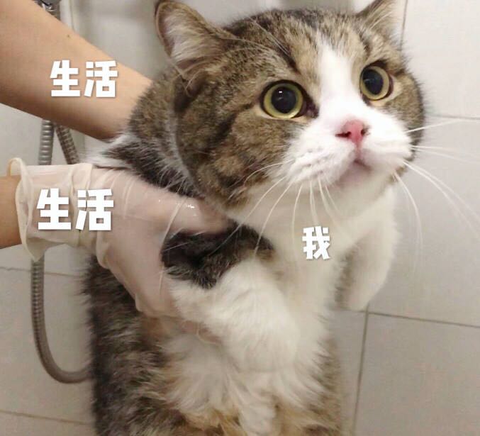 如此