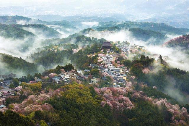 奈良吉野山千本樱