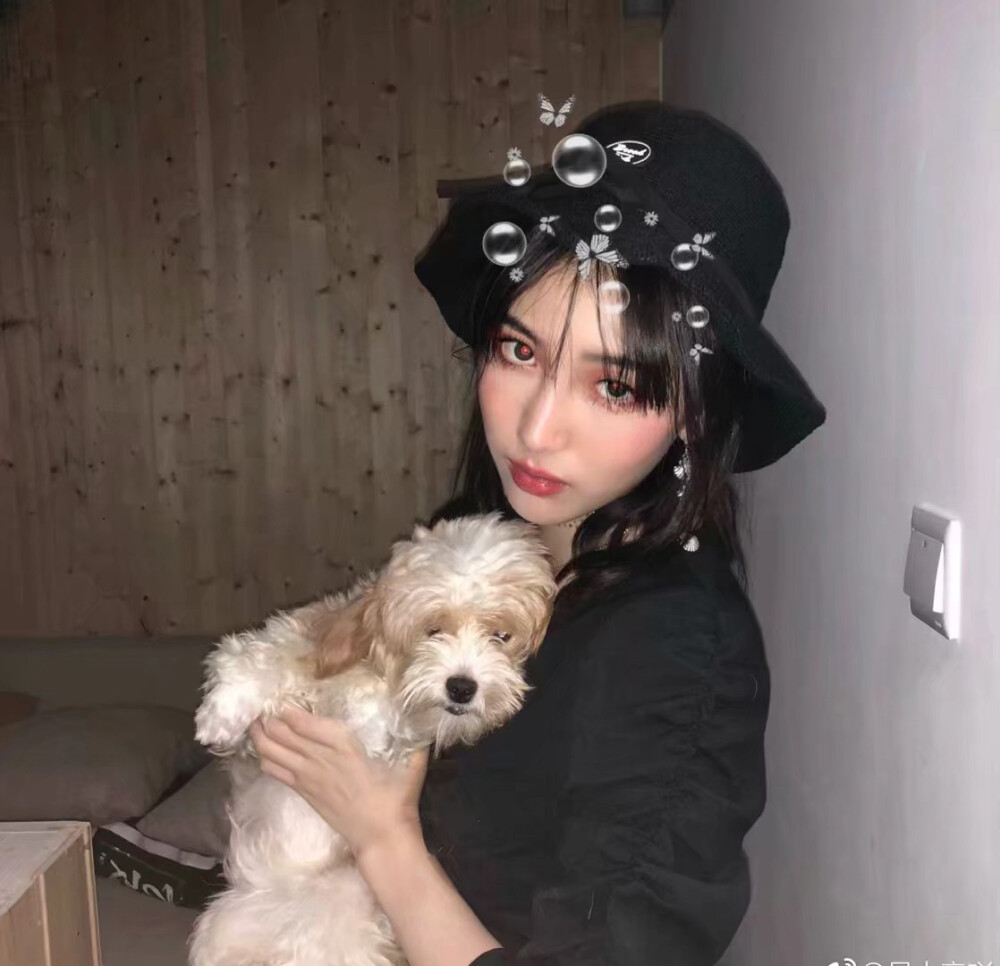 男头女头 抱猫抱狗爱心满满 你是最特别的那一个