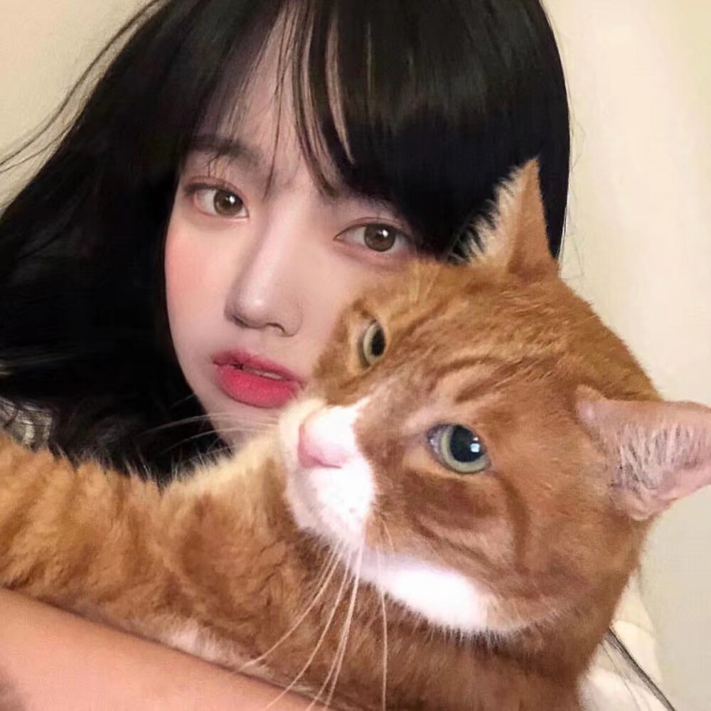 男头女头 抱猫抱狗爱心满满 你是最特别的那一个