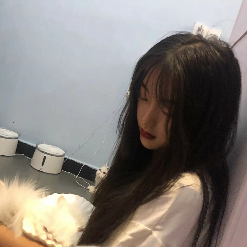 男头女头 抱猫抱狗爱心满满 你是最特别的那一个