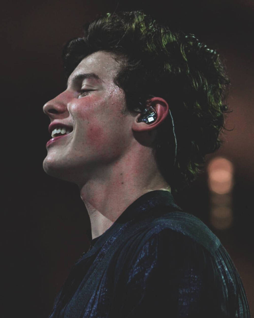 Shawn mendes 萌德