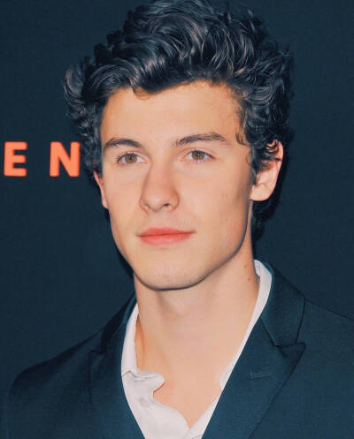 Shawn mendes 萌德