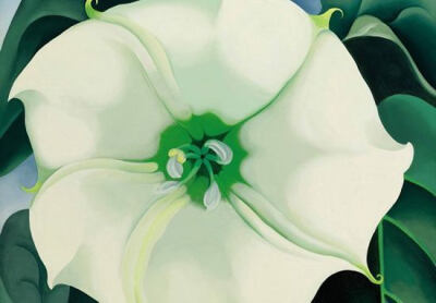 乔治亚·欧姬芙（Georgia O'Keeffe）曼陀罗