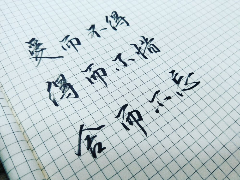 瑾忆 手写 文字句子 古风
惊风起 双燕离
一笑万古春 一啼万古愁
华枝春满，天心月圆
爱而不得 得而不惜 舍而不忘
霜降水无痕 列岫亭
