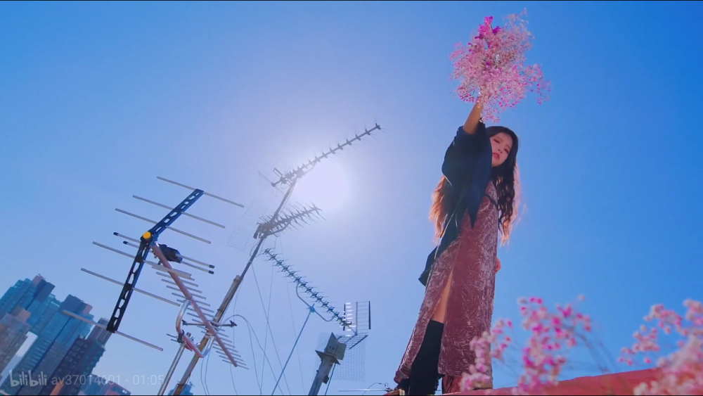 MAMAMOO wind flower