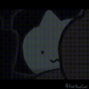 猫GIF