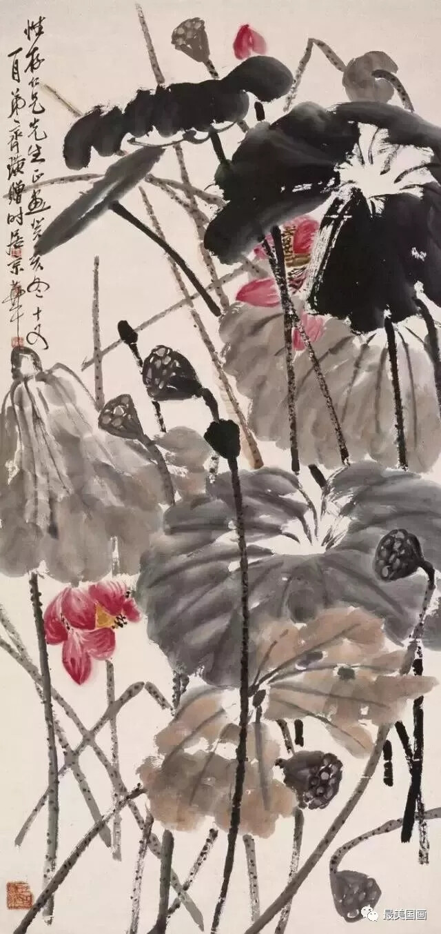 荷花