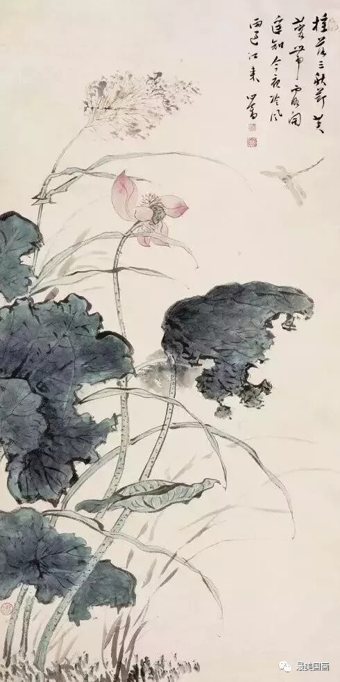 荷花
