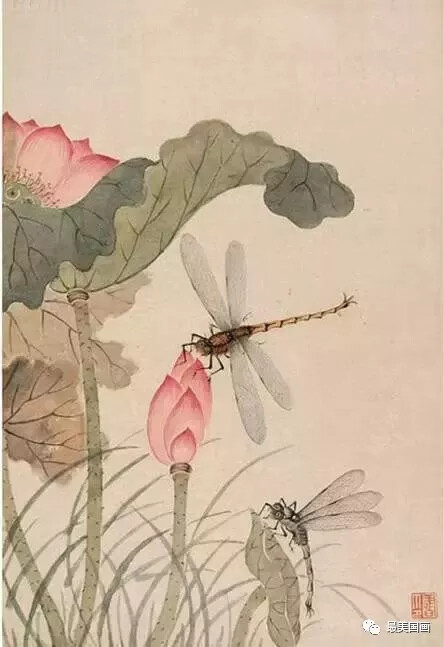 荷花