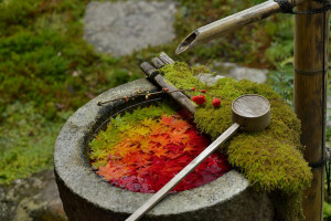 京都杨谷寺的水钵
