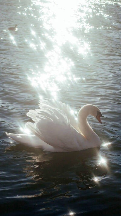 背景图.二传注明堆糖穹