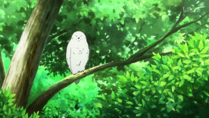 弦音