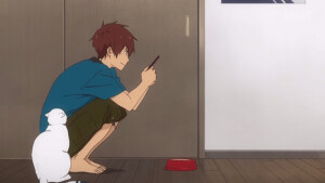 弦音