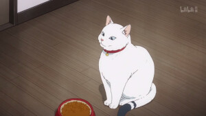 弦音
