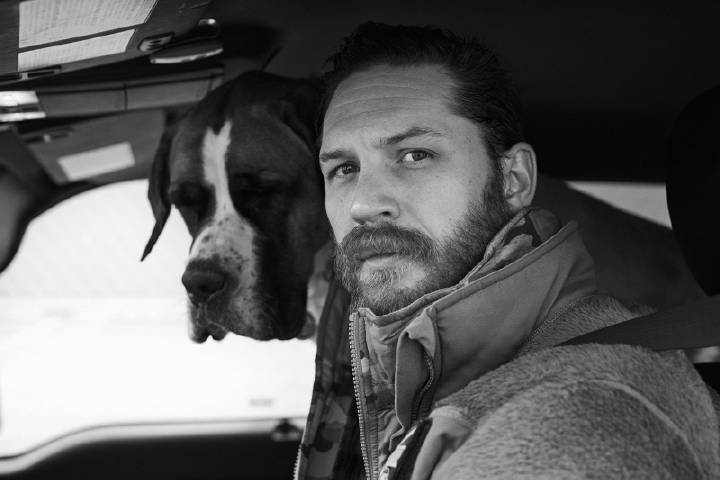 tom hardy