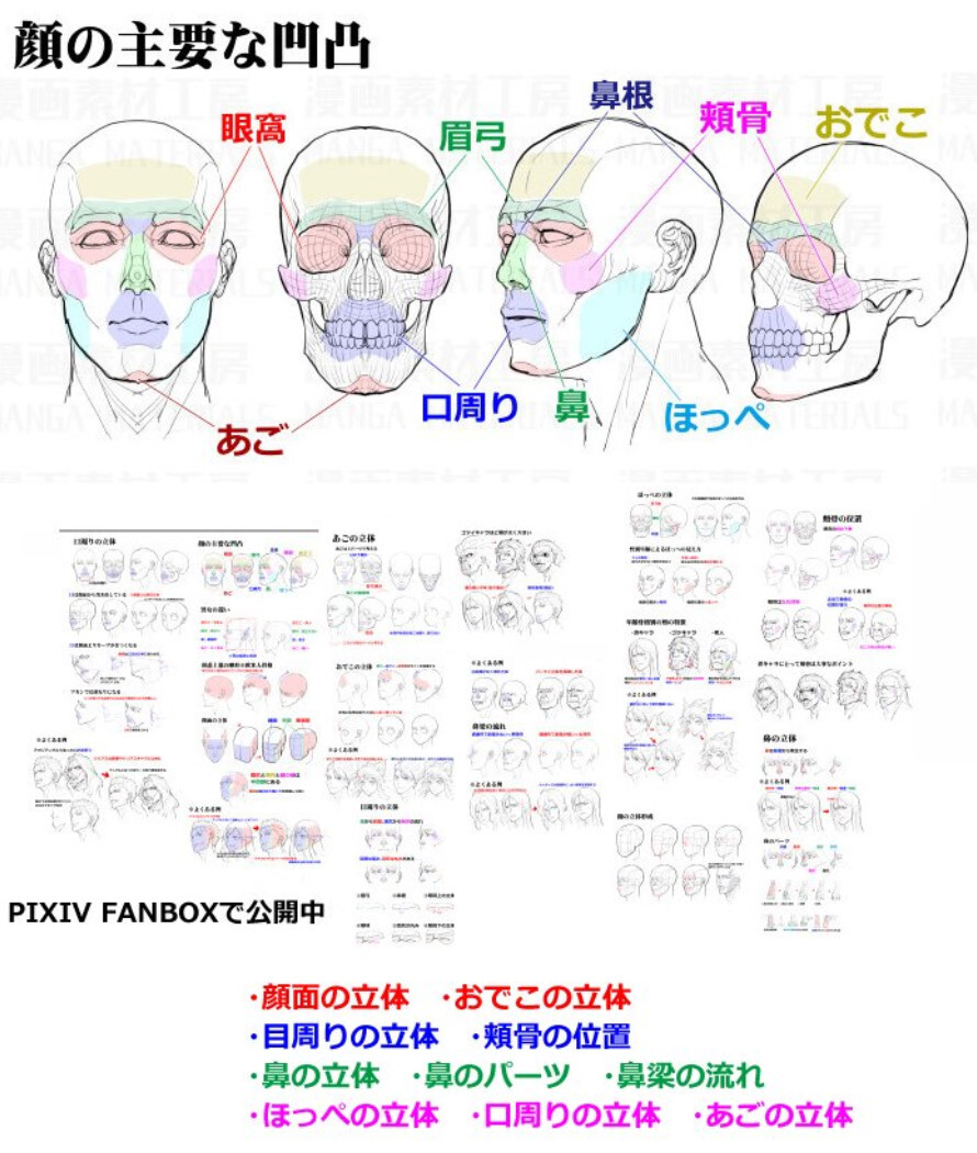 脸部