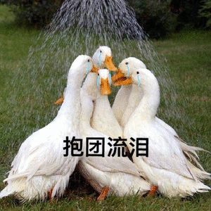 表情包