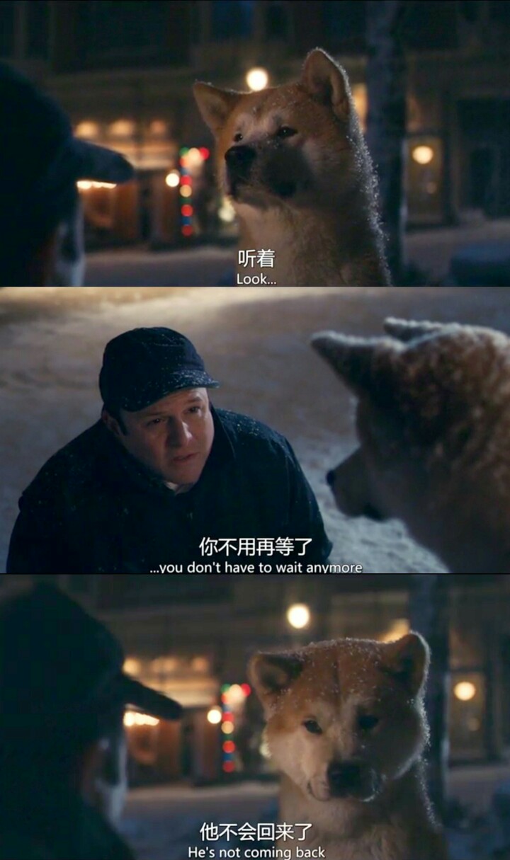 忠犬八公的故事