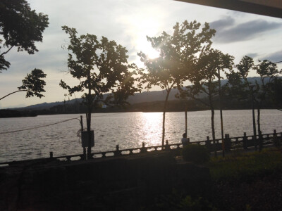 离新一家最近的公园