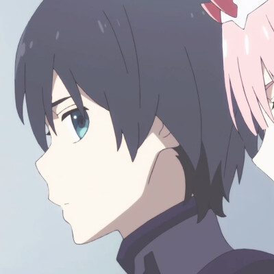 darling in the franxx 动漫 情头 广 零二