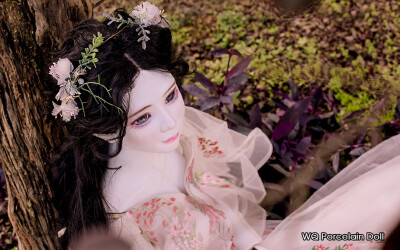 Largest Porcelain Doll世界最大陶瓷人偶，属于WQ Porcelain Doll，是由省工艺美术师汪楚和邓嘉琦共同创造的艺术陶瓷人偶品牌，源自中国景德镇，极具东方艺术特色。人偶采用了球关节的结构理论，四肢及躯干还有各个…