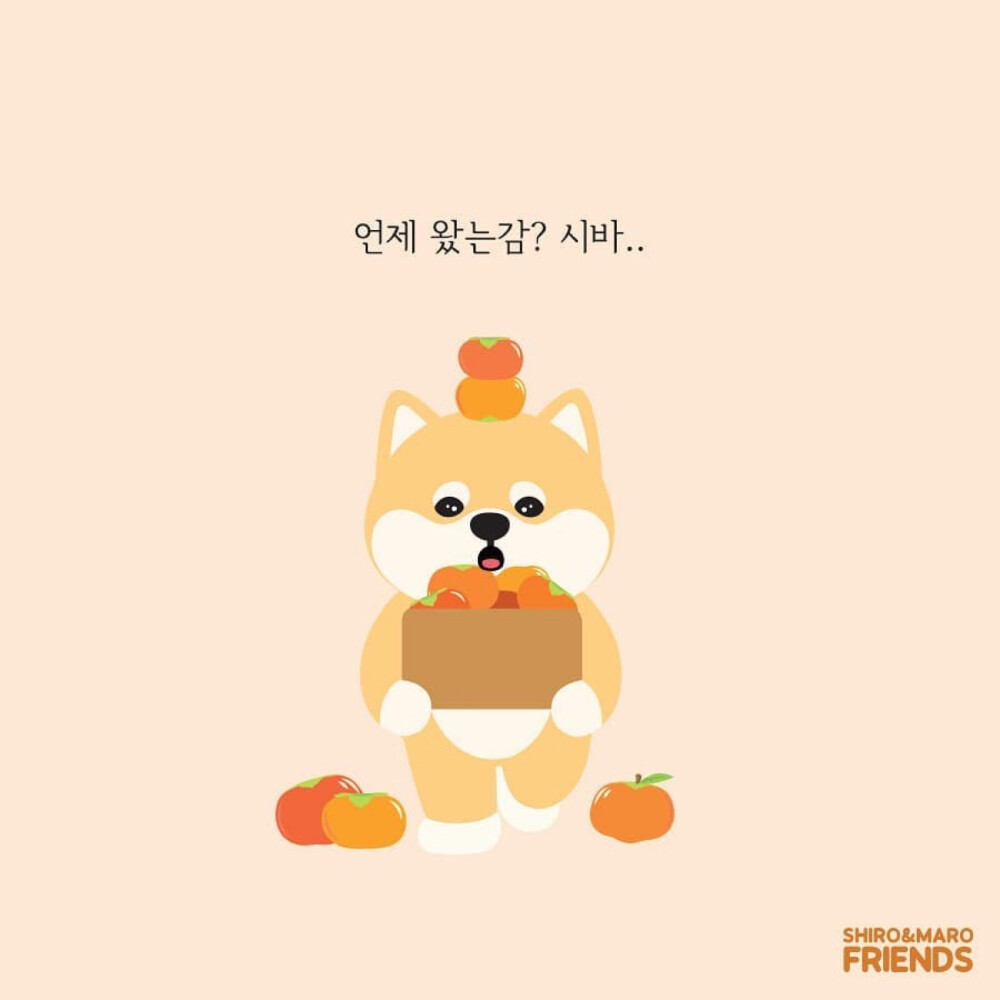 柴犬 头像 壁纸