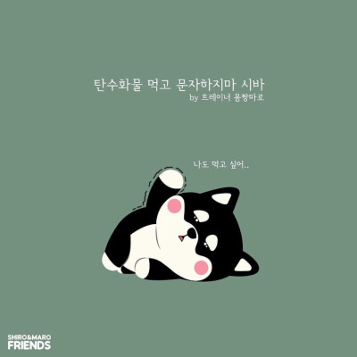 柴犬 头像 壁纸