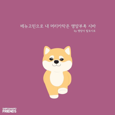 柴犬 头像 壁纸