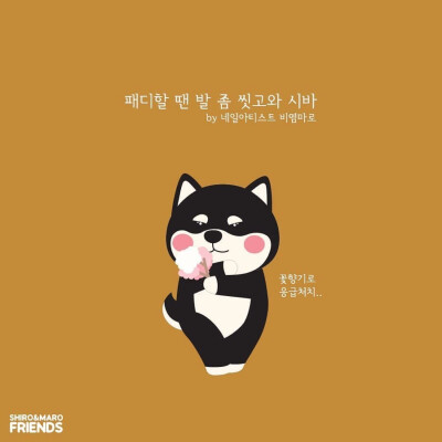 柴犬 头像 壁纸