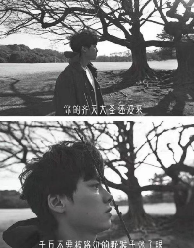 白鸽