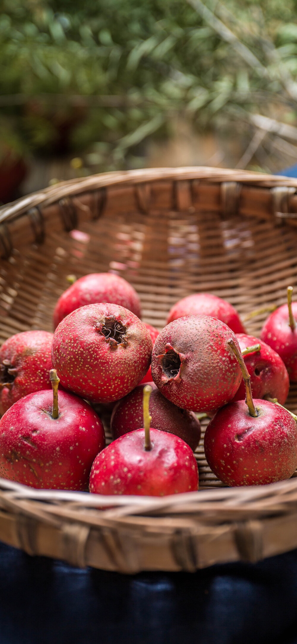 iPhone X S R MAX 壁纸 ​​​