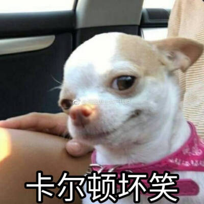 毒液暴卡