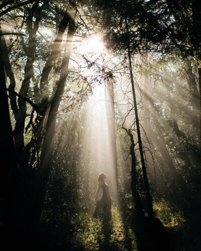 我们是不可能不负创伤地走出人生的竞技场的。——芥川龙之介《侏儒的话》