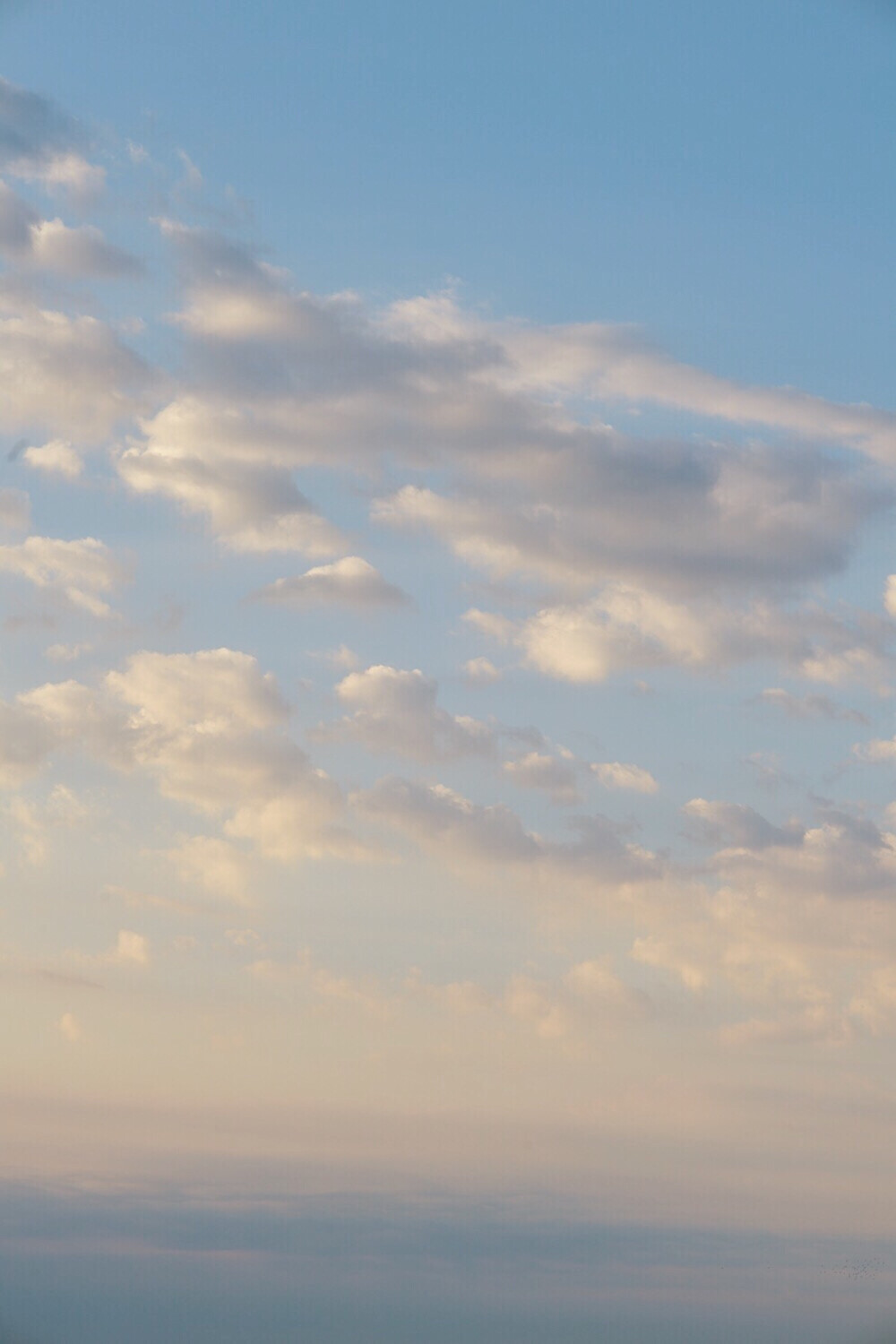 晨起的天空，像极了莫奈笔下的画儿……