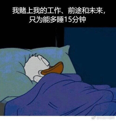 近期