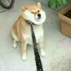 叶依奈 关注 智障搞怪沙雕头像 赞 评论 收藏 更多 发布至专辑 搞笑