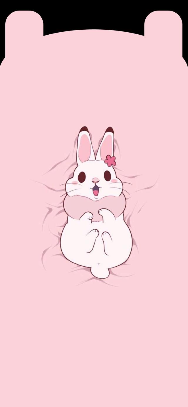 刘海屏太丑，小耳朵手机壁纸，给你的刘海遮一遮