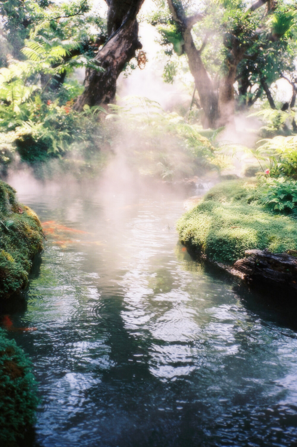 清迈的仙境餐厅