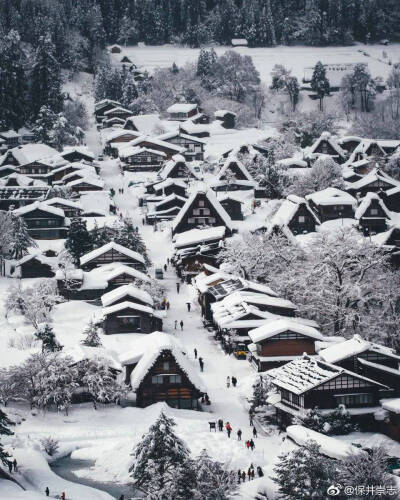 日本雪景
保井崇志