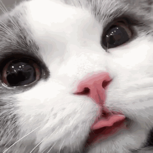 堆糖,美图壁纸兴趣社区