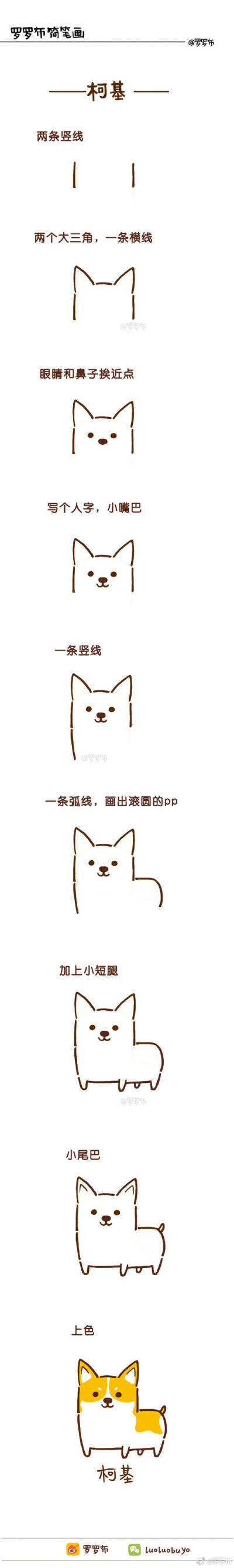 狗狗