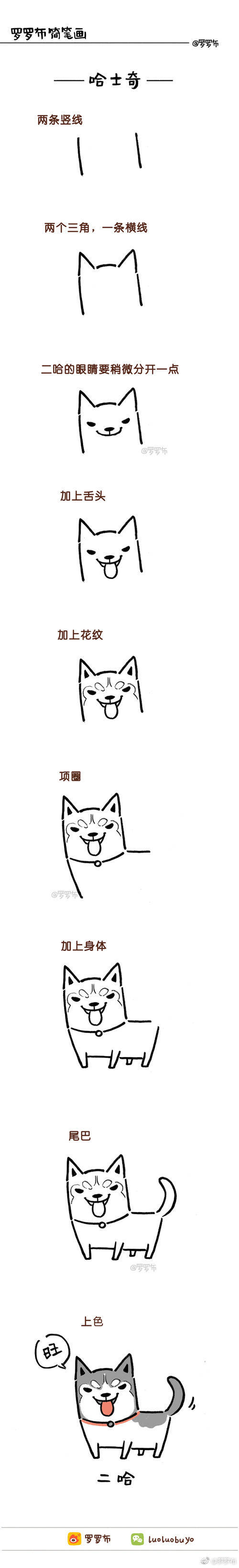 狗狗