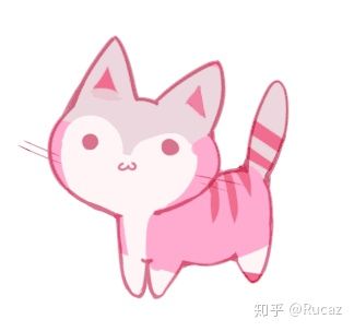 知乎 猫咪