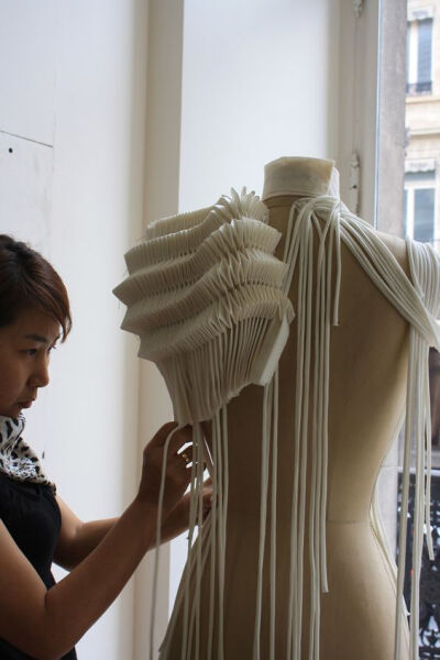 图源公众号野生