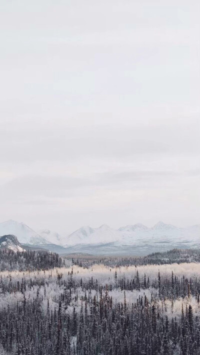 皑皑白雪，你是雪天里唯入我眼的一抹嫣红