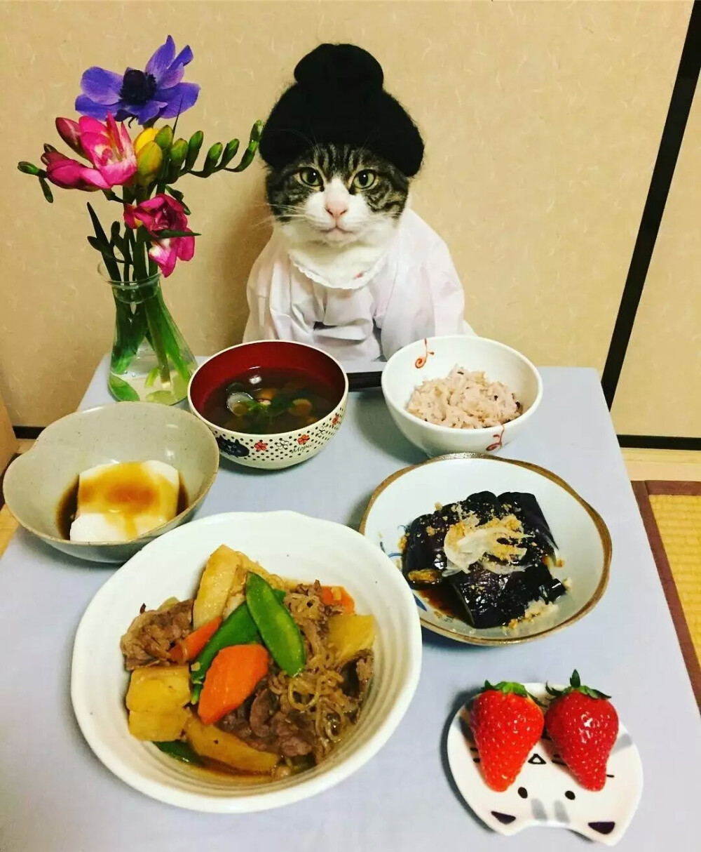 猫大厨MaRo